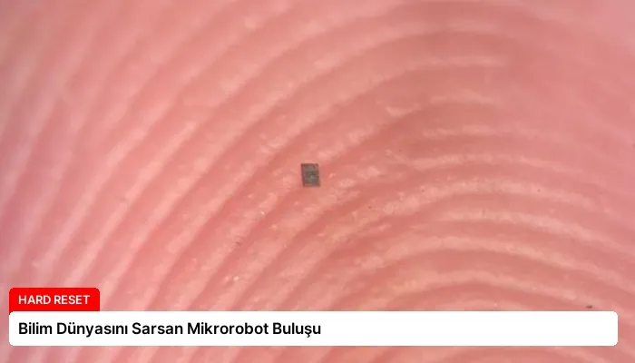 Bilim Dünyasını Sarsan Mikrorobot Buluşu