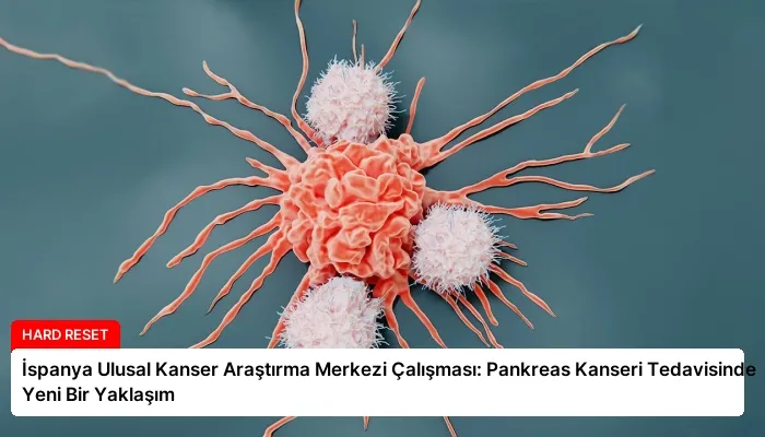 İspanya Ulusal Kanser Araştırma Merkezi Çalışması: Pankreas Kanseri Tedavisinde Yeni Bir Yaklaşım