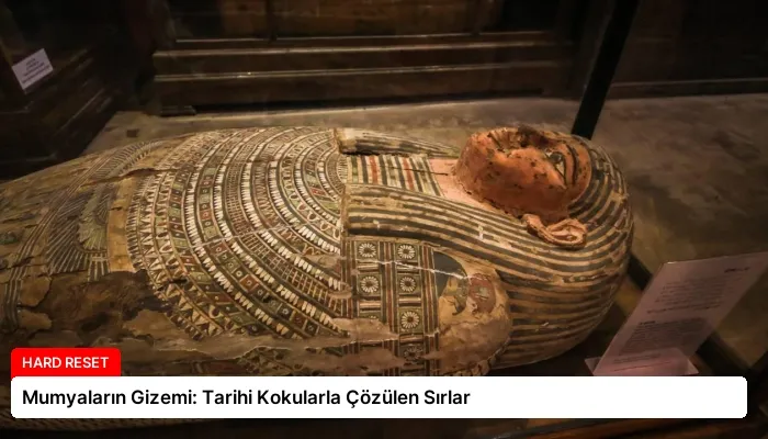 Mumyaların Gizemi: Tarihi Kokularla Çözülen Sırlar