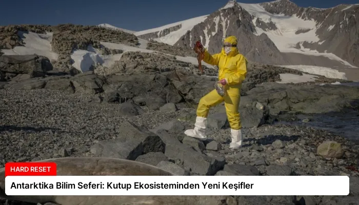Antarktika Bilim Seferi: Kutup Ekosisteminden Yeni Keşifler