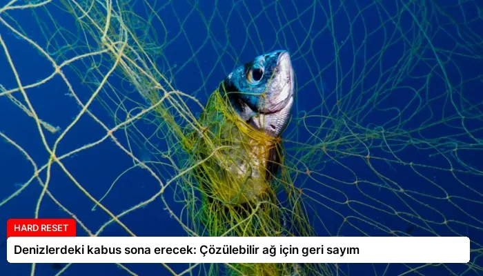 Denizlerdeki kabus sona erecek: Çözülebilir ağ için geri sayım