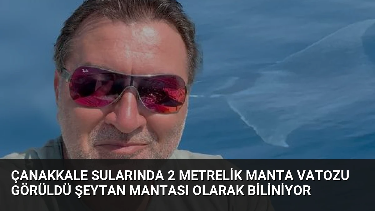 Çanakkale Sularında 2 Metrelik Manta Vatozu Görüldü Şeytan Mantası Olarak Biliniyor