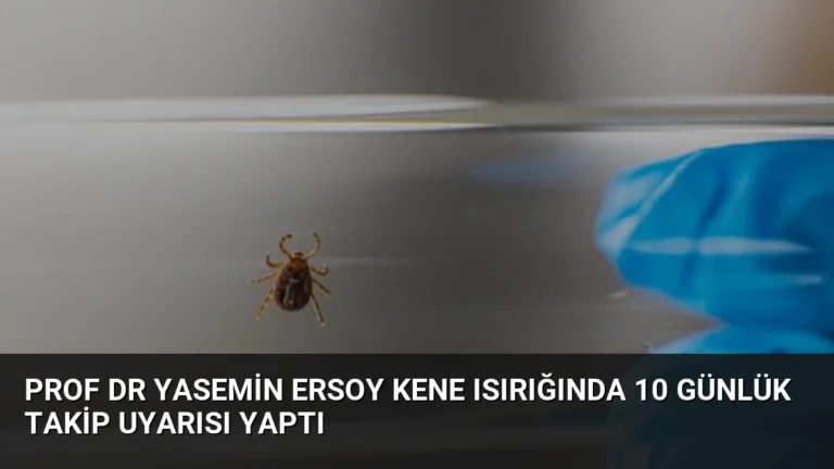 Prof Dr Yasemin Ersoy Kene Isırığında 10 Günlük Takip Uyarısı Yaptı