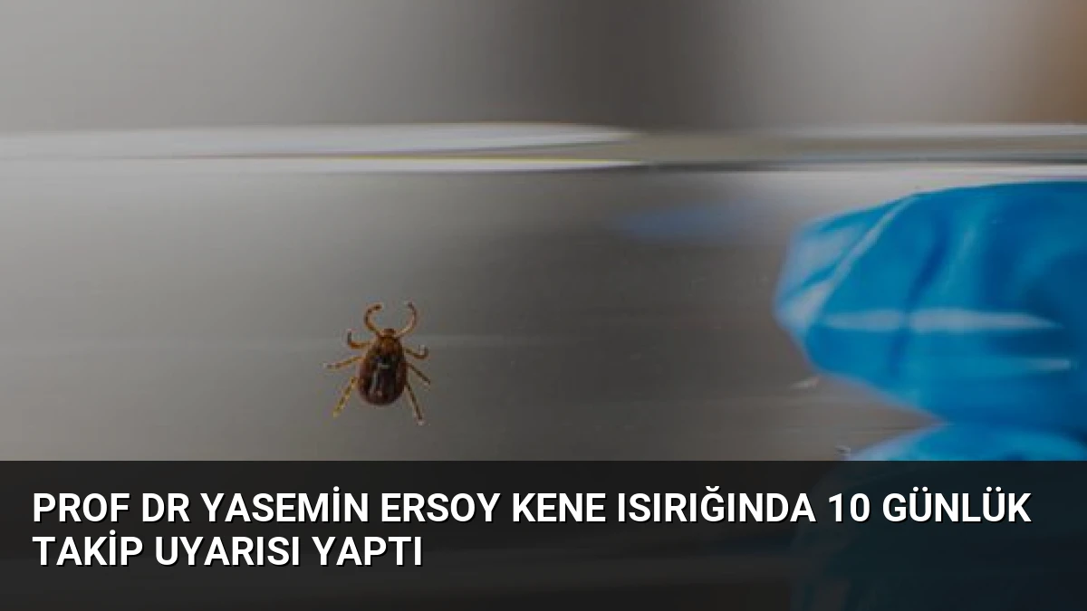 Prof Dr Yasemin Ersoy Kene Isırığında 10 Günlük Takip Uyarısı Yaptı