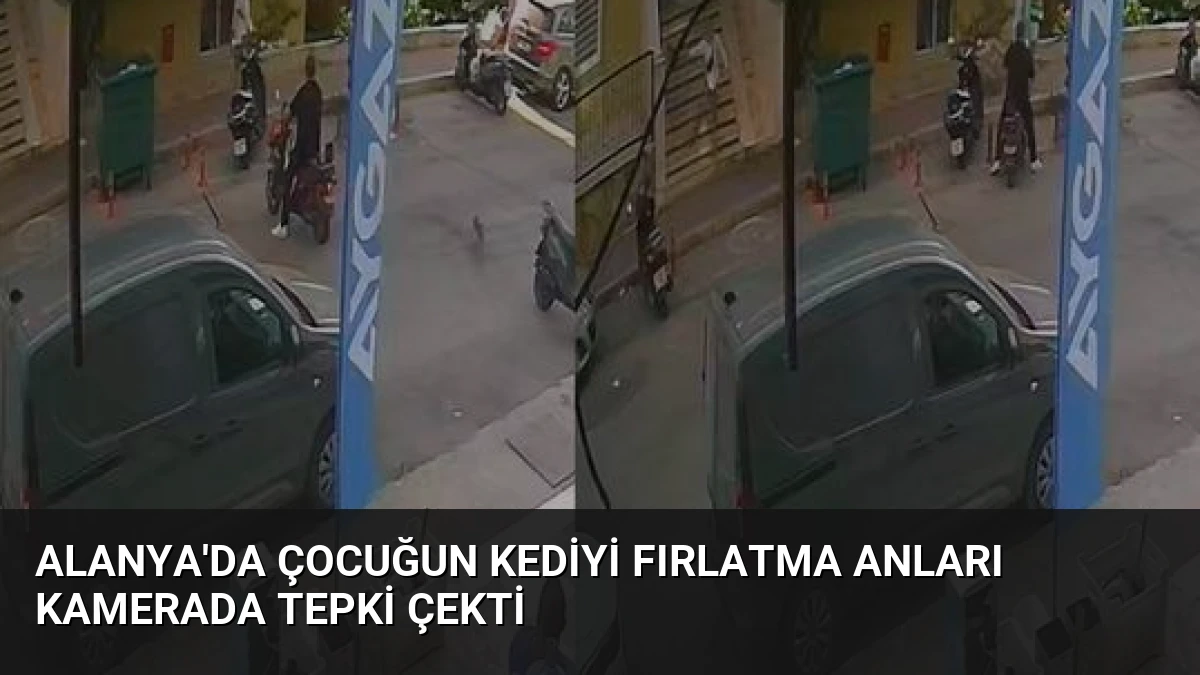 Alanya’da Çocuğun Kediyi Fırlatma Anları Kamerada Tepki Çekti