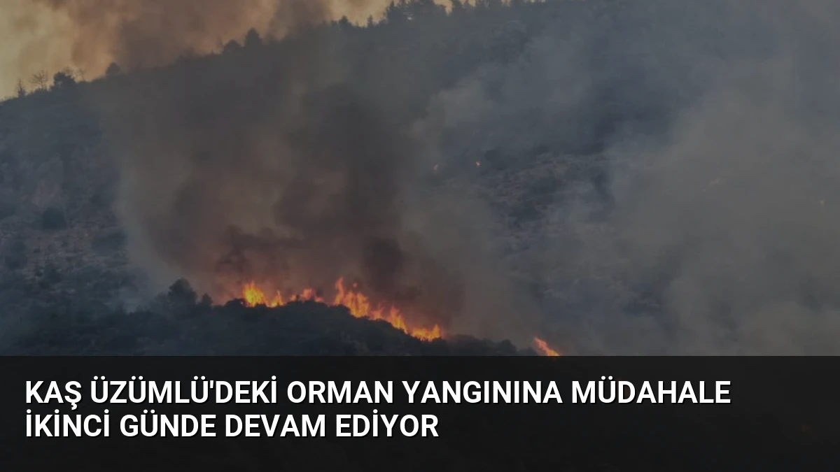 Kaş Üzümlü’deki Orman Yangınına Müdahale İkinci Günde Devam Ediyor