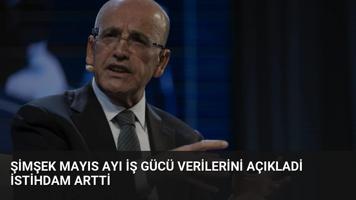 Şimşek Mayıs Ayı İş Gücü Verilerini Açıkladi İstihdam Artti