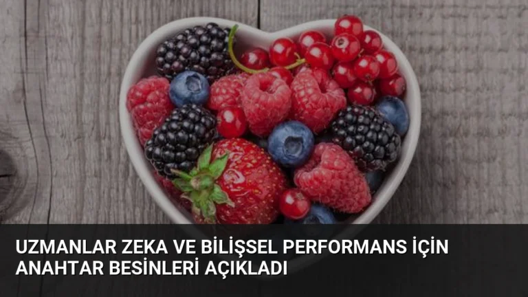 Uzmanlar Zeka ve Bilişsel Performans İçin Anahtar Besinleri Açıkladı