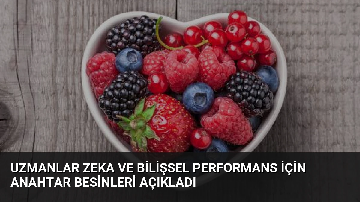 Uzmanlar Zeka ve Bilişsel Performans İçin Anahtar Besinleri Açıkladı