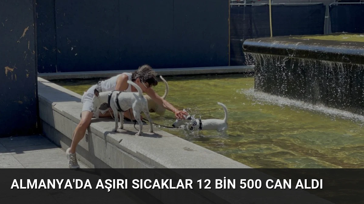Almanya’da Aşırı Sıcaklar 12 Bin 500 Can Aldı