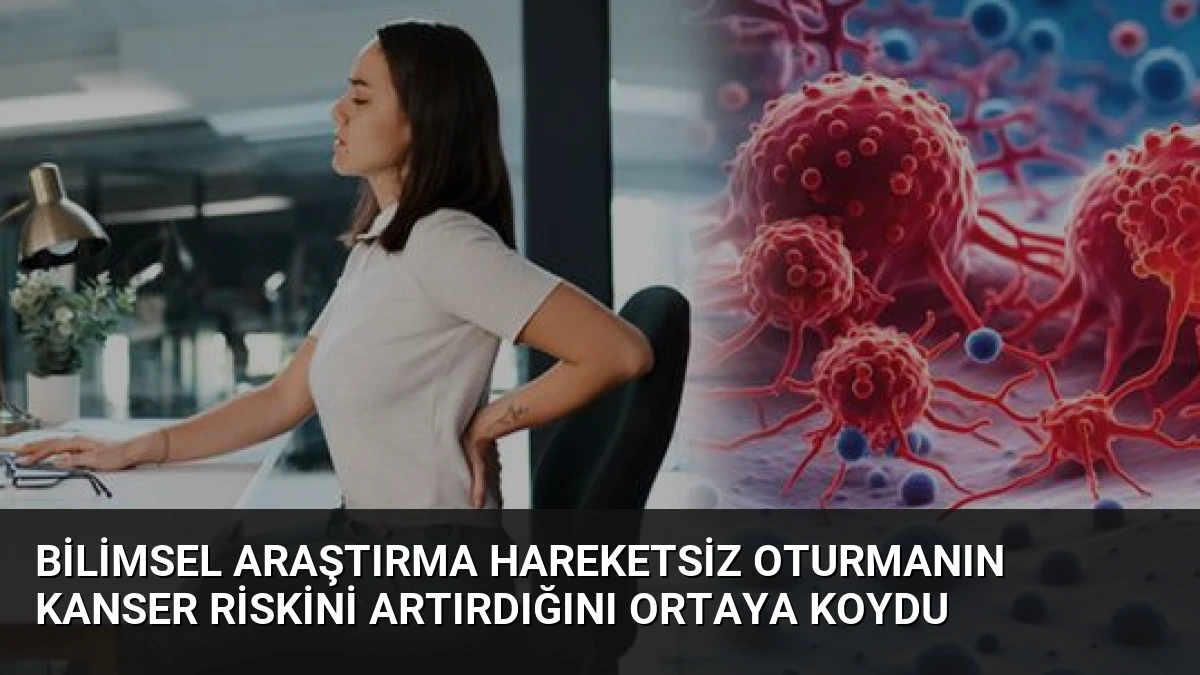 Bilimsel Araştırma Hareketsiz Oturmanın Kanser Riskini Artırdığını Ortaya Koydu