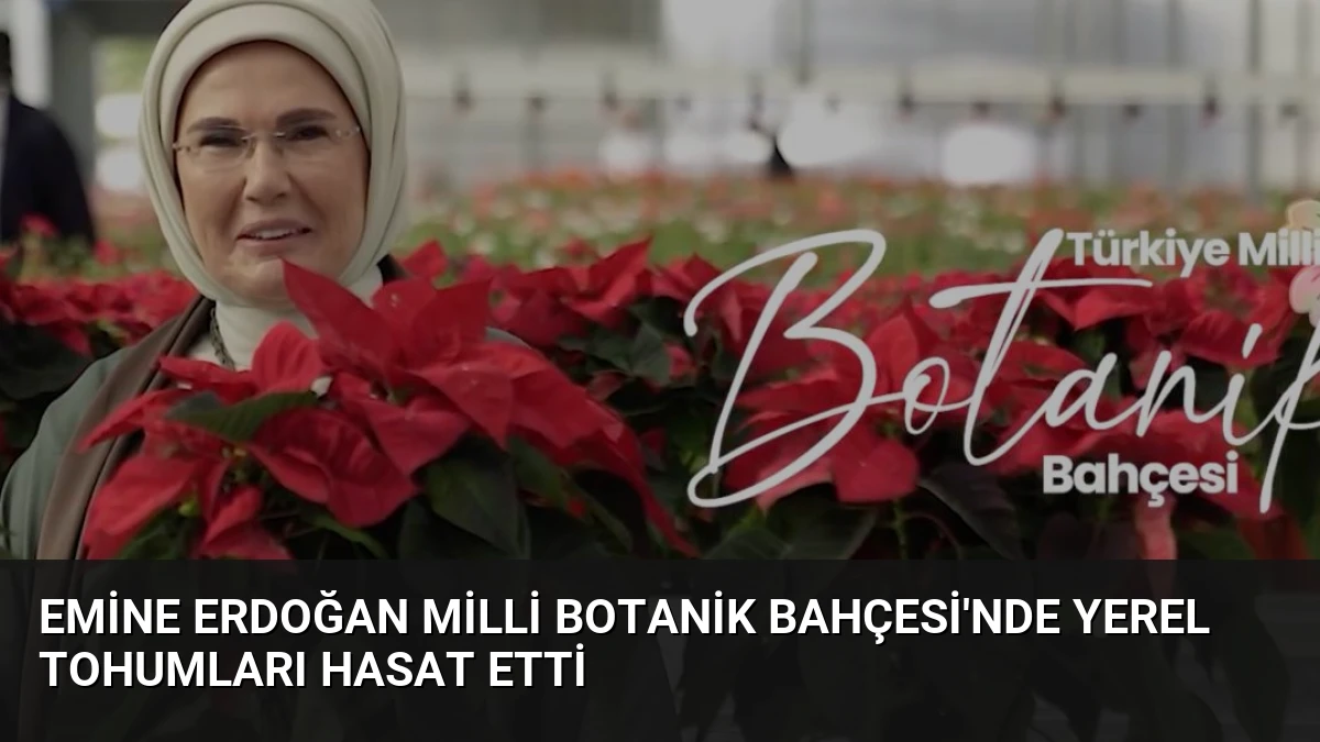Emine Erdoğan Milli Botanik Bahçesi’nde Yerel Tohumları Hasat Etti
