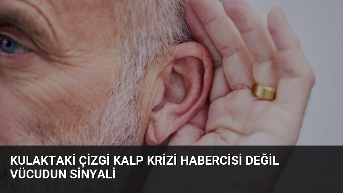 Kulaktaki Çizgi Kalp Krizi Habercisi Değil Vücudun Sinyali