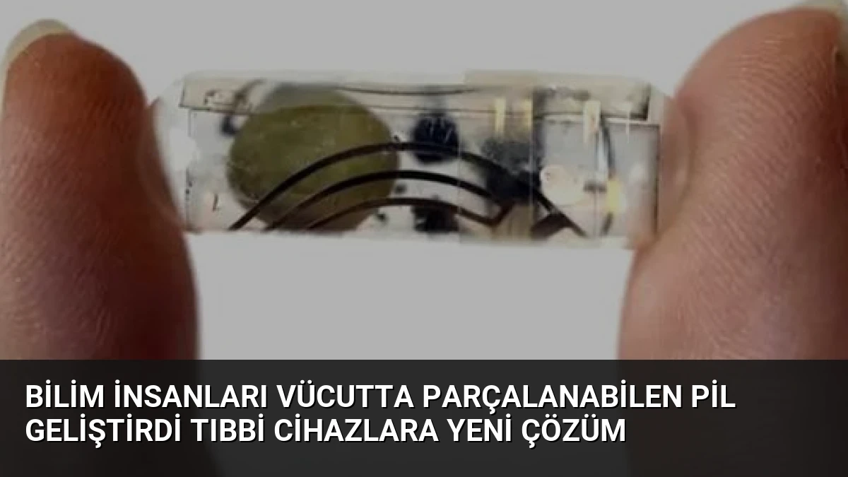 Bilim İnsanları Vücutta Parçalanabilen Pil Geliştirdi Tıbbi Cihazlara Yeni Çözüm