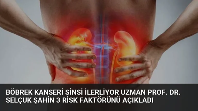 Böbrek Kanseri Sinsi İlerliyor Uzman Prof. Dr. Selçuk Şahin 3 Risk Faktörünü Açıkladı