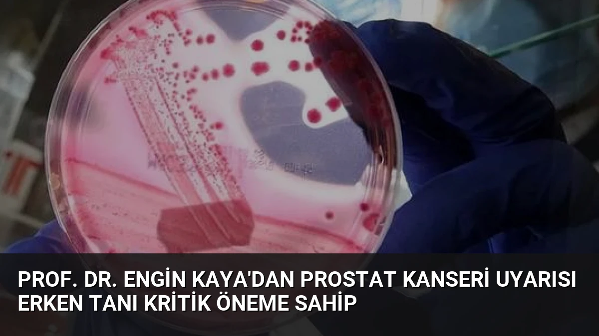 Prof. Dr. Engin Kaya’dan Prostat Kanseri Uyarısı Erken Tanı Kritik Öneme Sahip