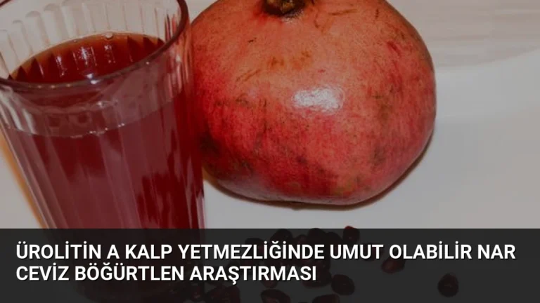 Ürolitin A Kalp Yetmezliğinde Umut Olabilir Nar Ceviz Böğürtlen Araştırması